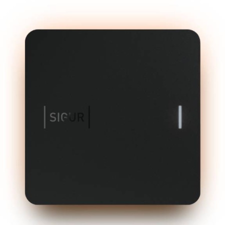 Считыватель Sigur MR100 Lite (MR1)